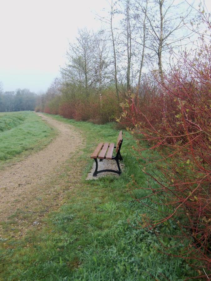 Do Mi Si La Do Re Gite Partage Saint-Carreuc Екстериор снимка